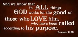 Purpose Romans