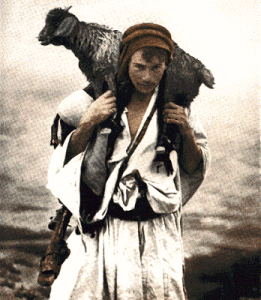 Shepherd with sheep