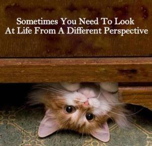 life_perspective