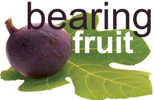 bearing-fruit