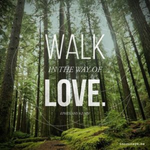 walk-in-the-way-of-love