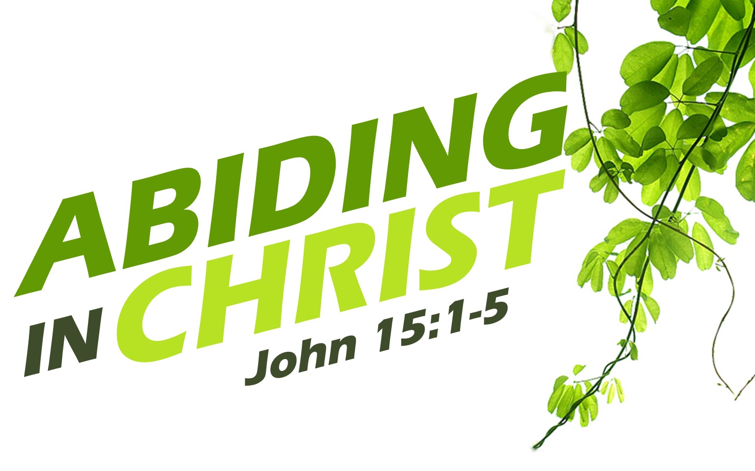 Abiding in Christ | Wholeness/Oneness/Justice