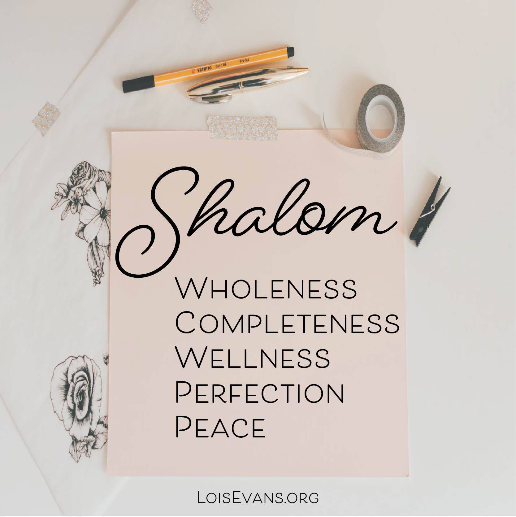 Shalom  Wholeness/Oneness/Justice